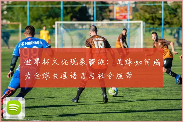 世界杯文化现象解读：足球如何成为全球共通语言与社会纽带