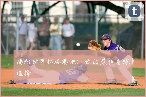 揭秘世界杯观赛地：你的最佳看球选择