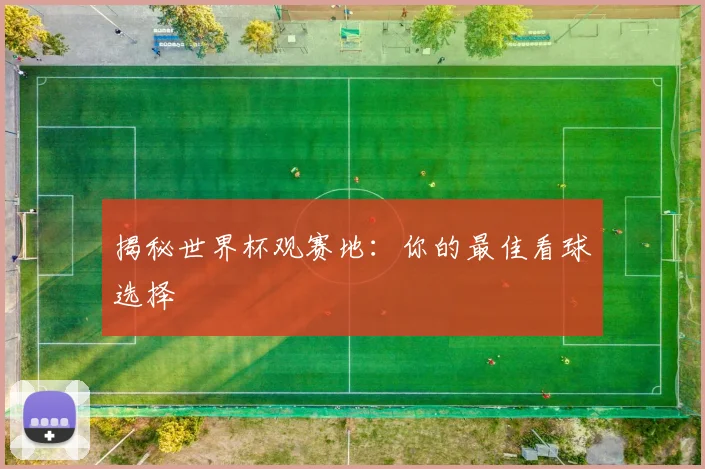 揭秘世界杯观赛地：你的最佳看球选择