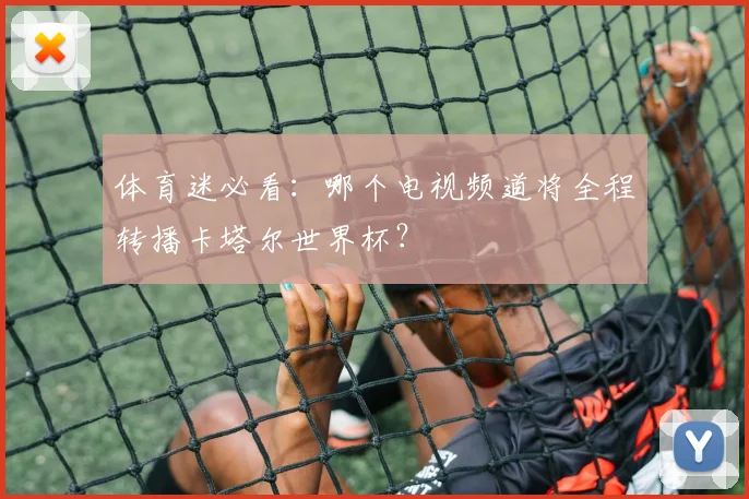 体育迷必看：哪个电视频道将全程转播卡塔尔世界杯？