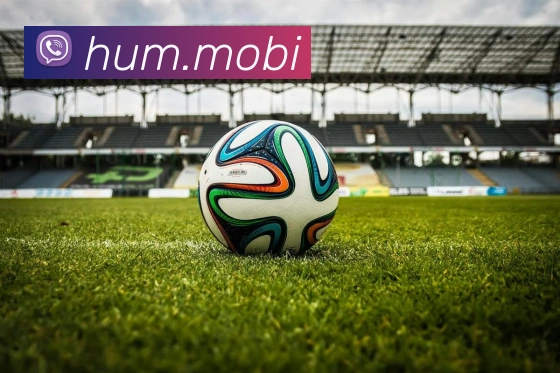 开云手机官方登录全站App 开云手机官方登录全站App